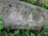 image of grave number 487644